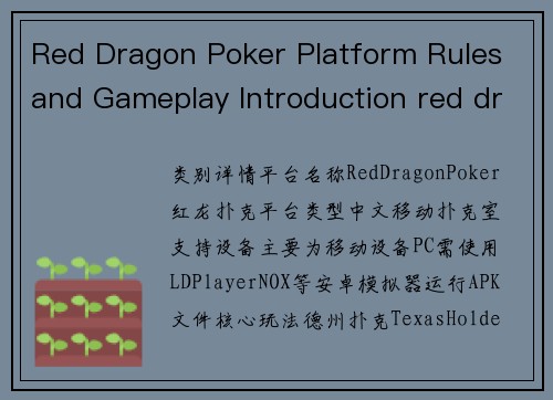 Red Dragon Poker Platform Rules and Gameplay Introduction red dragon poker platform rules and gameplay introduction